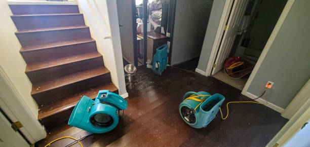 Best Fire Damage Restoration  in Burlington, WA