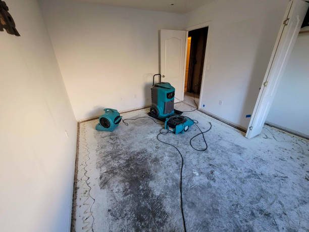 Best 24/7 water damage repair  in Burlington, WA