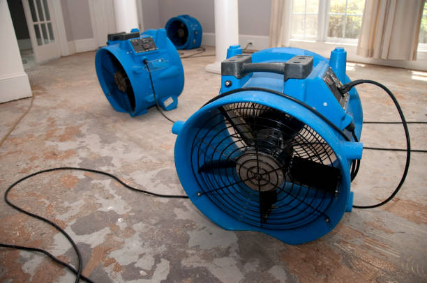 Best Sewage cleanup and water damage restoration  in Burlington, WA
