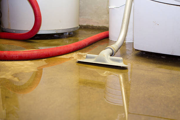 Best Water damage restoration near me  in Burlington, WA