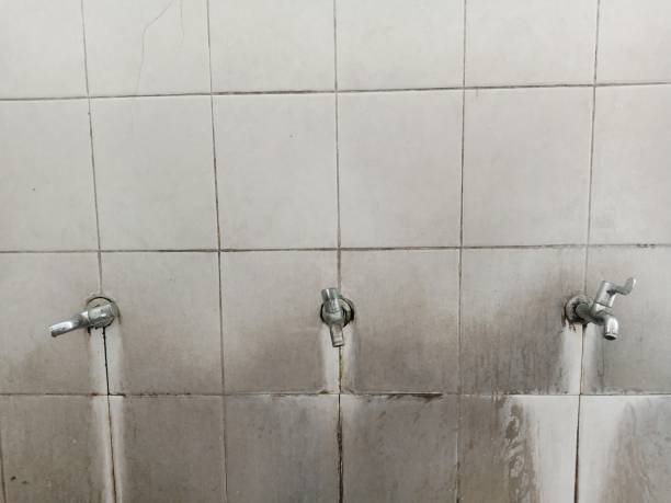 Best 24-hour water damage restoration  in Burlington, WA