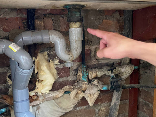 Best Water damage restoration experts  in Burlington, WA