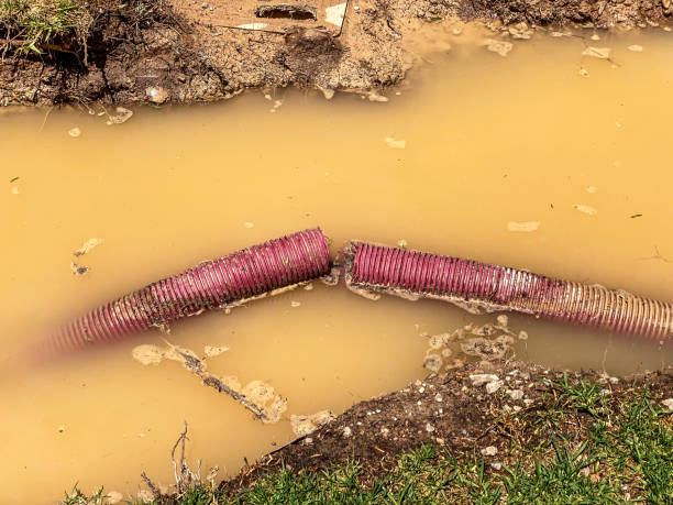 Trusted Burlington, WA Water damage restoration Experts