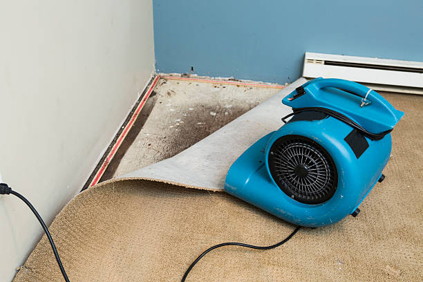 Water damage restoration experts in Burlington, WA